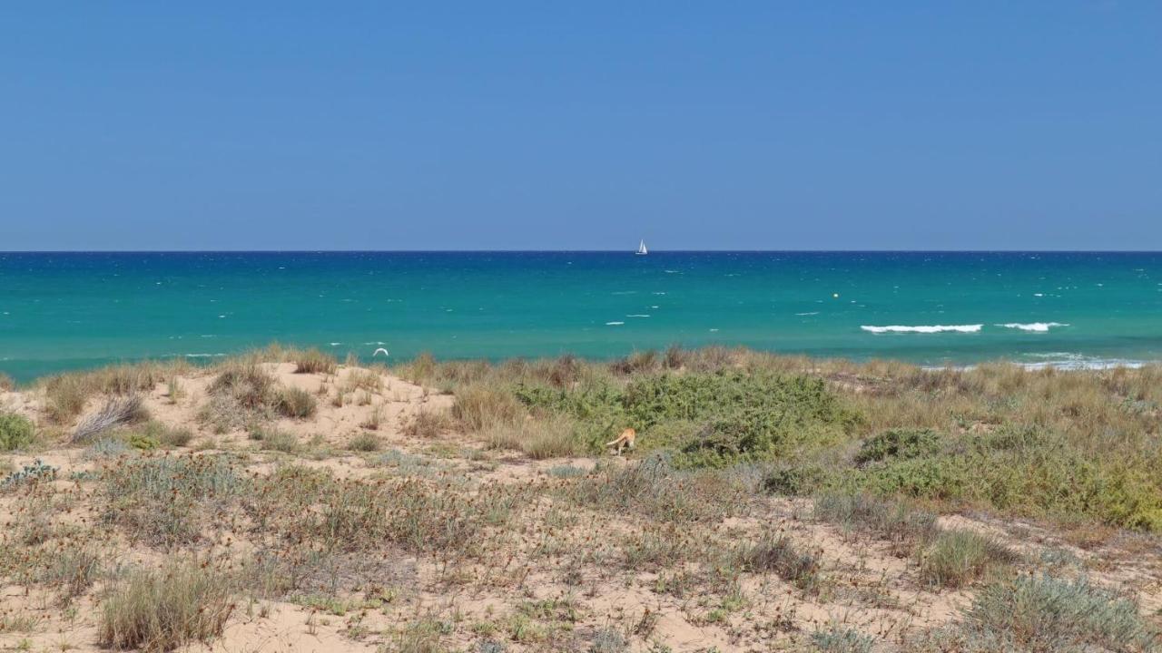 Apartamento Bajo las nubes La Mata  Exterior foto